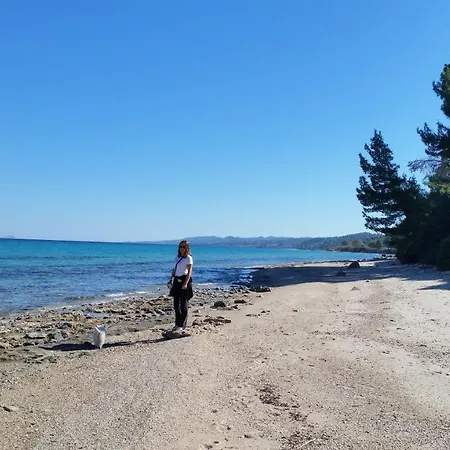 شقة Amparoudes كريوبيجي