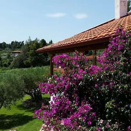 Amparoudes * كريوبيجي